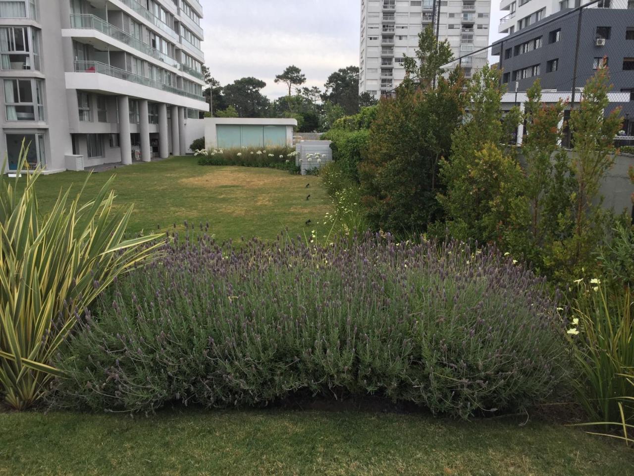 Bellagio Tower New Apartments Punta del Este Dış mekan fotoğraf